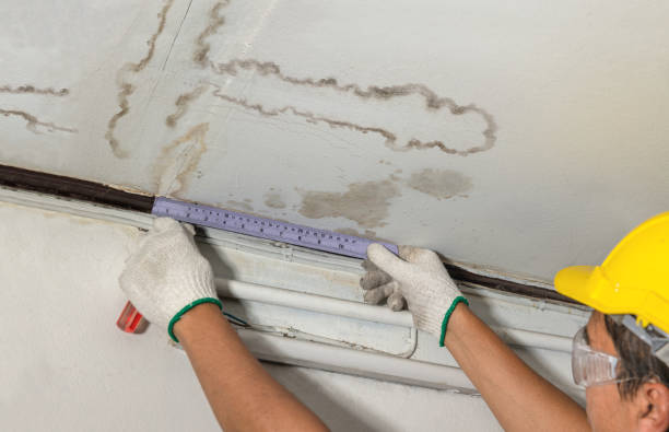 Reliable Flood Cleanup contractor in Lesage, WV by Water Damage Irwin